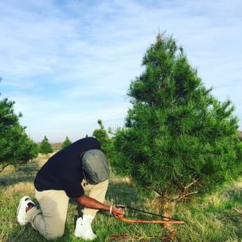 Elgin Christmas Tree Farm - Chopping our tree! - Christmas Trees Near Me - Elgin, Texas
