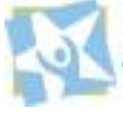 National Incontinence - logo