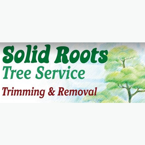 Solid Roots Tree Service - tree service in Lincoln, NE