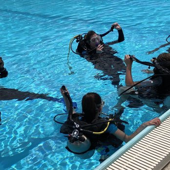Divers Cove - Checking out the equipment - Scuba Diving Near Me - Davie, Florida Divers Cove - Checking out the equipment - Scuba Diving Near Me - Davie, Florida