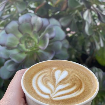 Spectra Coffee - Cortado perfection - Coffee & Tea Near Me - San Jose, California