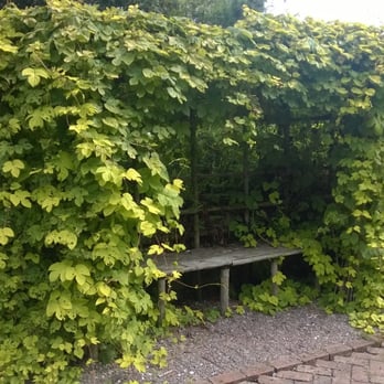 Ballymaloe Cookery School Gardens - A resting spot. - Botanical Gardens Near Me