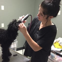 Capital Heights Veterinary Clinic
