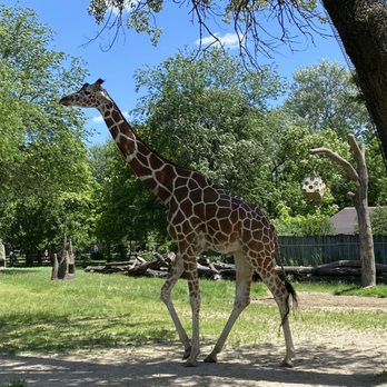 Brookfield Zoo Chicago - Zoos Near Me - Brookfield, Illinois