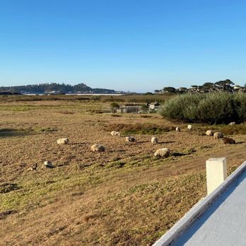 Mission Ranch - Venues & Event Spaces Near Me - Carmel, California