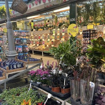 Amsterdam Flower Market - Florists Near Me - Amsterdam, New Hampshire