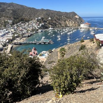 Avalon Local Tours - Tours Near Me