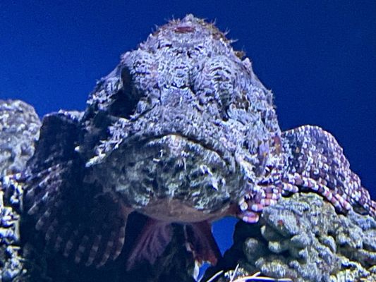 National Aquarium by null