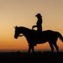 Photo of A Horse Experience 