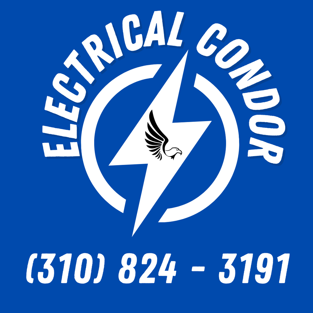 Slide of Electrical Condor
