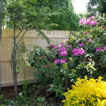 Walt Whitman Fence - Repairs needed! - Fences & Gates Near Me - Melville, New York Walt Whitman Fence - Repairs needed! - Fences & Gates Near Me - Melville, New York