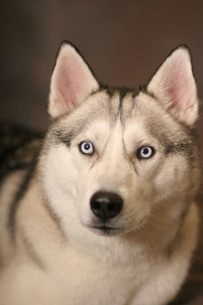 SUDS N’ SCISSORS Updated September 2024 21 Photos 2621 N 48th St