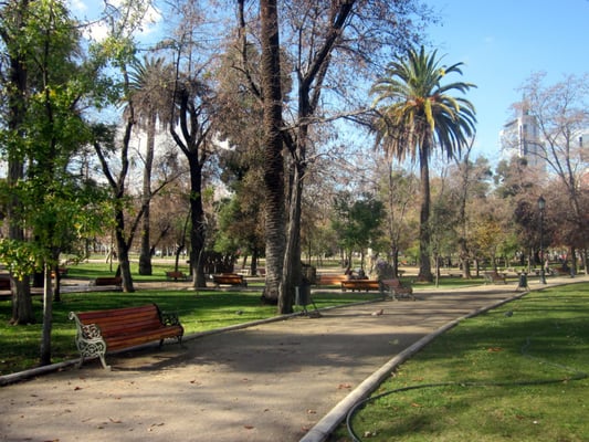 Parque Forestal by null