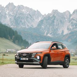 Carlove car rental