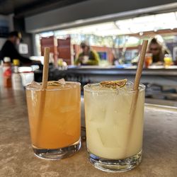 Westbound - Cactus wren and gin fizz