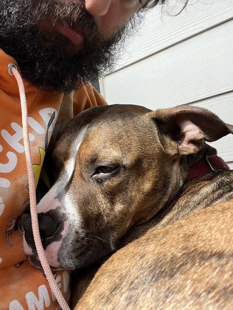 VETERINARY MEDICAL CENTER Updated October 2024 31 Photos & 50