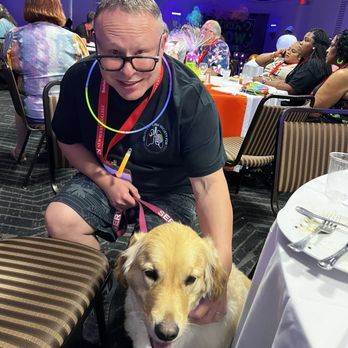 Dog Daze - My "Golden Girl" with me at a medical conference party. The very few places I can't bring her, DD has us covered. - Pet Sitting Near Me - Columbia, South Carolina Dog Daze - My "Golden Girl" with me at a medical conference party. The very few places I can't bring her, DD has us covered. - Pet Sitting Near Me - Columbia, South Carolina