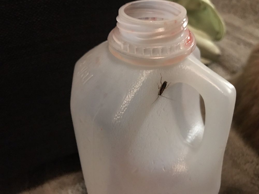 AVISTAR AT THE PARKWAY Updated August 2024 45 Photos 9511 Perrin