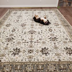 Capel Rugs - One of the Farmhouse traditional rugs. Corgi for scale.