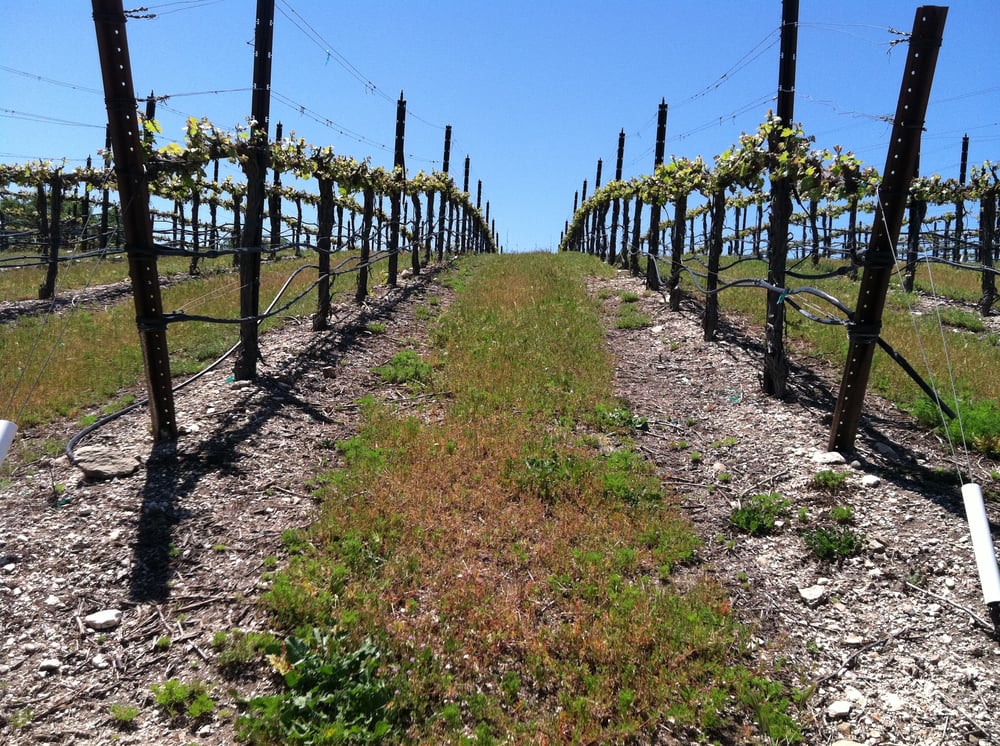 John Alan Winery Logo