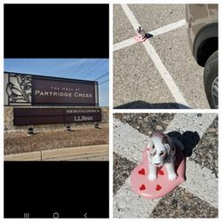 The Mall At Partridge Creek - Today after walking and shopping for over an hour, I found this Broken Dog Statue next to My tire. NO Fooling. 4/1/2024