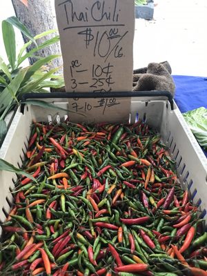 Campbell Farmer's Market by null