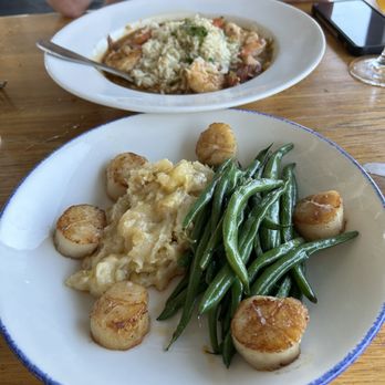 Bluewater Grill - Seafood Near Me - Coronado, California Bluewater Grill - Seafood Near Me - Coronado, California