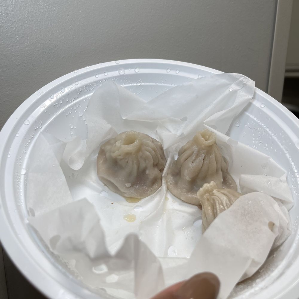 Steamed Pork Soup Dumpling