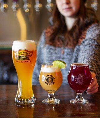 Hop Scholar Ale House by null