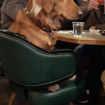 Iron Horse - Bar friends - American Near Me - Coeur D Alene, Idaho
