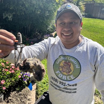 Gophers Control Force - Ronal with excellent results in hand! - Wildlife Control Near Me Gophers Control Force - Ronal with excellent results in hand! - Wildlife Control Near Me