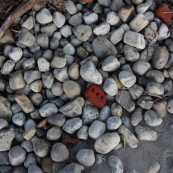 Humber Bay Shores Park