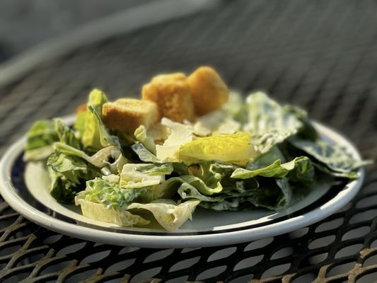 Rip Van Winkle Gardens by null