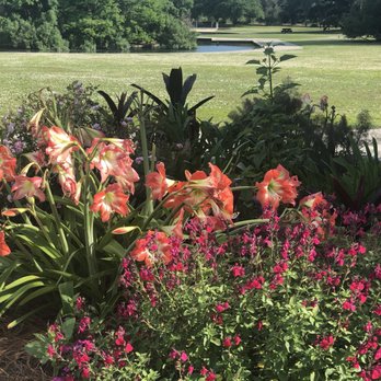 Hampton Park - Parks Near Me - Charleston, South Carolina