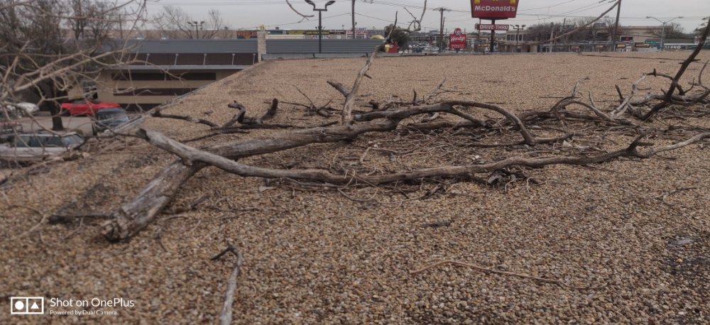 Slide of Collin county roofers