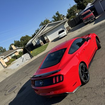 Schells Auto Detailing - 2015 mustang paint correction and ceramic coat - Auto Detailing Near Me Schells Auto Detailing - 2015 mustang paint correction and ceramic coat - Auto Detailing Near Me