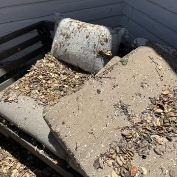 Ferreira Inc - Debris left from tree cutting. They didn't offer or care to clean it. - General Contractors Near Me - San Luis Obispo, California Ferreira Inc - Debris left from tree cutting. They didn't offer or care to clean it. - General Contractors Near Me - San Luis Obispo, California