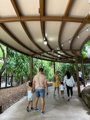 Jungle Island by null