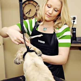 Brush, Bath and Beyond - Pet grooming services serving Bountiful, Woods Cross, Centerville, North Salt Lake City, Farmington, Layton - Pet Groomers Near Me - Bountiful, Utah