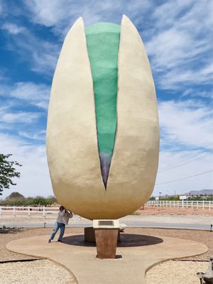 McGinn's PistachioLand by null