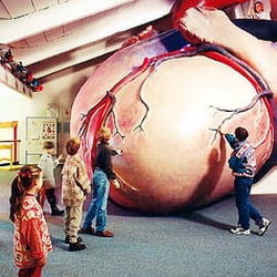 Kaf Kinder-Akademie Fulda Werkraum Museum gGmbH