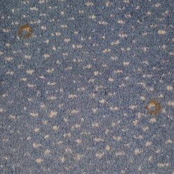 River Park Hotel - Cigarette burns in carpet