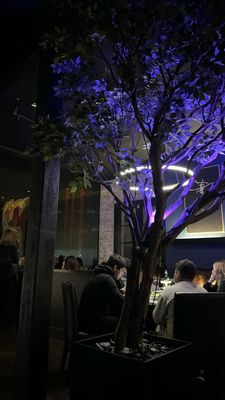 KAVIAR Restaurants by null