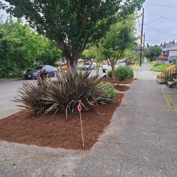 GRN Space Landscapes - a street with a tree, bushes, and a fire hydrant - Lawn Services Near Me GRN Space Landscapes - a street with a tree, bushes, and a fire hydrant - Lawn Services Near Me