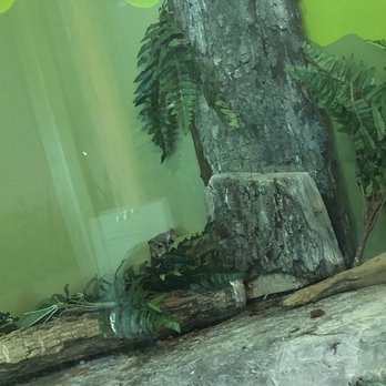 Chattahoochee Nature Center - Botanical Gardens Near Me - Roswell, Georgia
