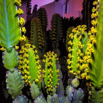 Vivero de Playas - Nurseries & Gardening Near Me - Tijuana, BCN