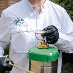 Eastern Pine Pest Control