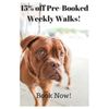 Leash 'Em Up gift card