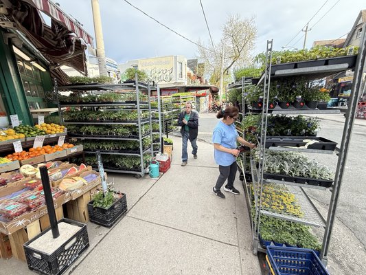 Kensington Fruit Market by null