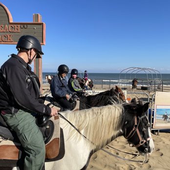 Virginia Beach Horseback - Horses that kick and bite. - Horseback Riding Near Me - Virginia Beach, Virginia